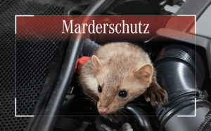 MARDERSCHUTZ-Einbau bei mercedes benz brinkmann das Autohaus