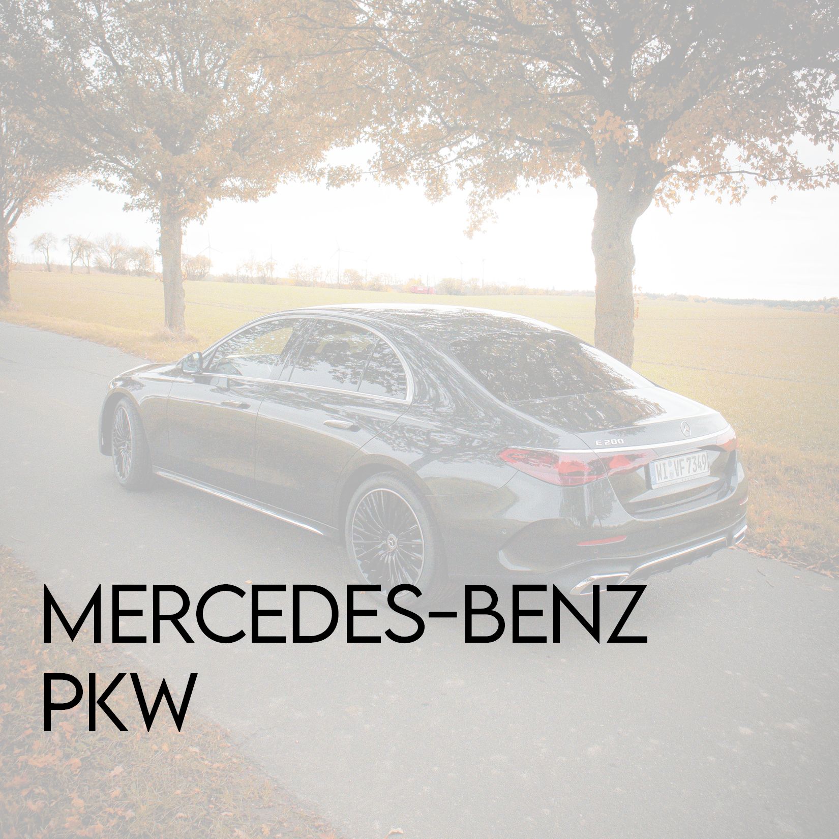 Mercedes-Benz PKW Service & Werkstatt