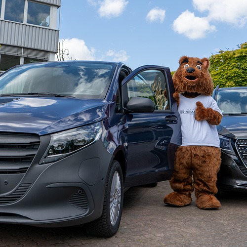 der bär an einem mercedes van