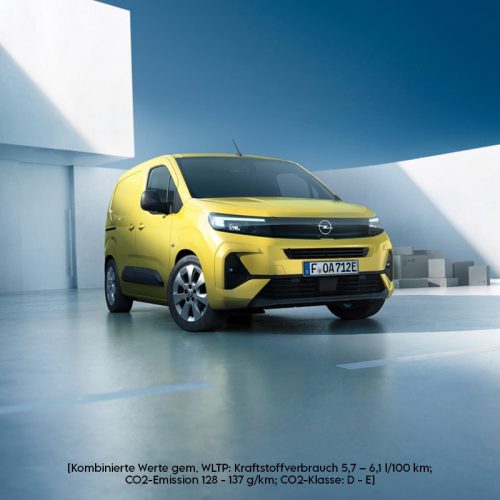 Verkauf-Combo-Cargo-Electric-800x800px.jpg