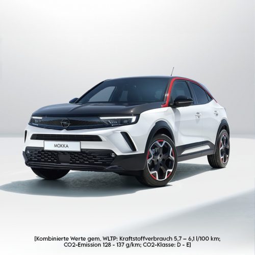 Verkauf-Mokka-800x800px.jpg