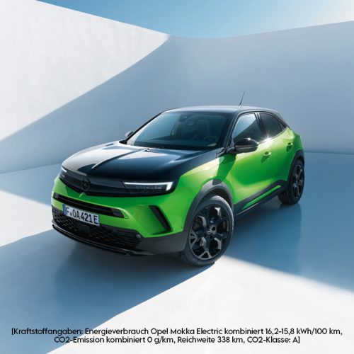 Verkauf-Mokka-Electric-800x800px.jpg
