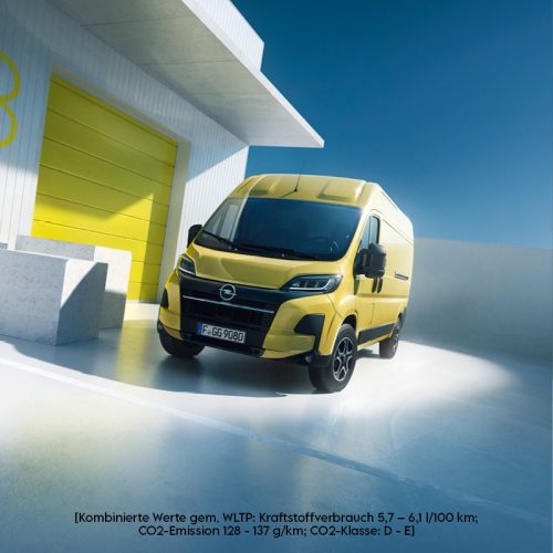 Verkauf-Movano-800x800px.jpg