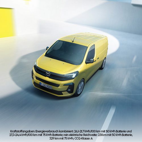 Verkauf-Vivaro-800x800px.jpg
